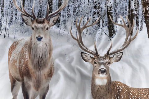 Heckettlane Dekbedovertrek Pelle Natural - 100% Katoen-Satijn