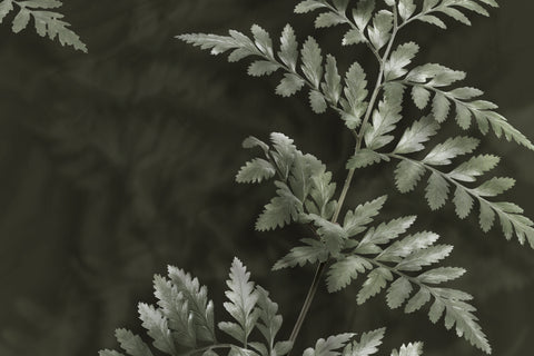 Heckettlane Dekbedovertrek Rua Forest Green - 100% Katoen-Satijn